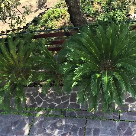 Holiday home Casale Rendine *
